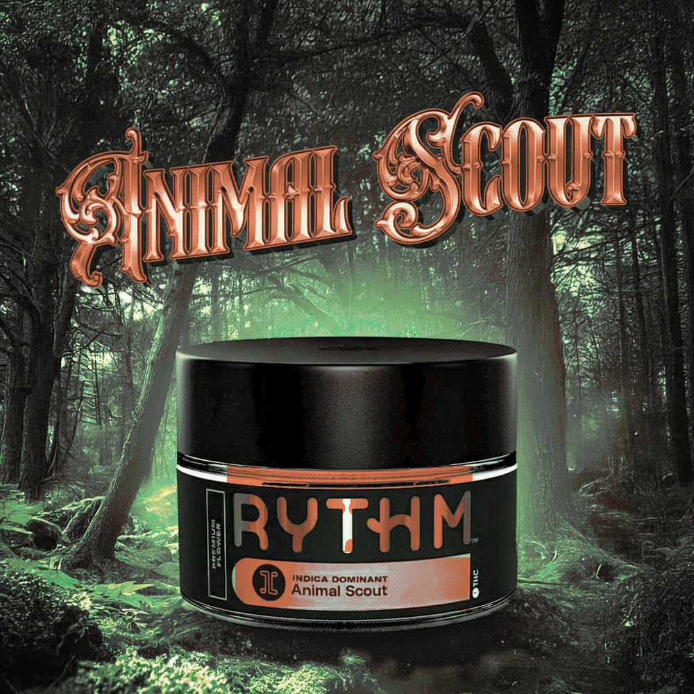RYTHM – Animal Scout